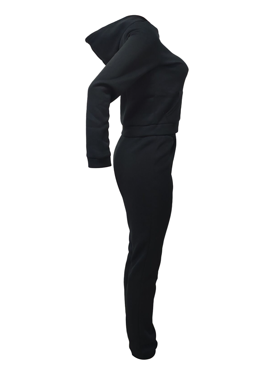 RYNLEES BASICS Casual Polyester Hooded Collar Solid Color Long Sleeve Two-piece Pants Set